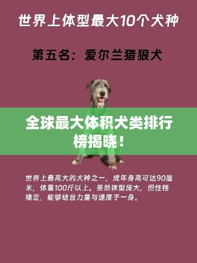 全球最大体积犬类排行榜揭晓!