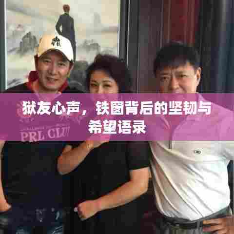狱友心声,铁窗背后的坚韧与希望语录