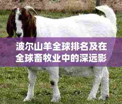 波尔山羊全球排名及在全球畜牧业中的深远影响力