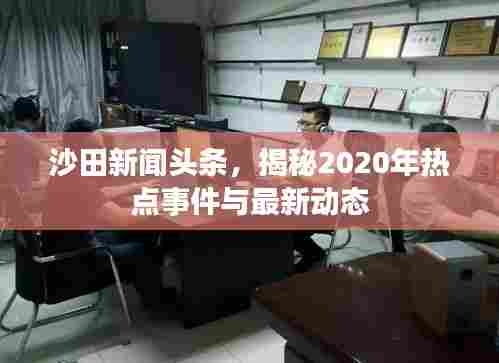 沙田新闻头条，揭秘2020年热点事件与最新动态