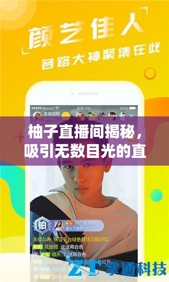 柚子直播间揭秘,吸引无数目光的直播魅力所在!