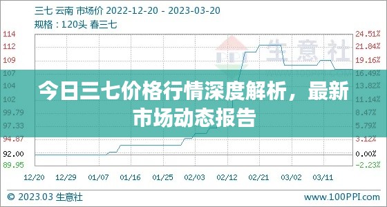 今日三七价格行情深度解析,最新市场动态报告