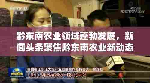 黔东南农业领域蓬勃发展，新闻头条聚焦黔东南农业新动态