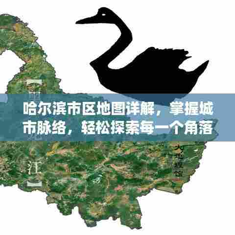 逆风飞扬 第2页