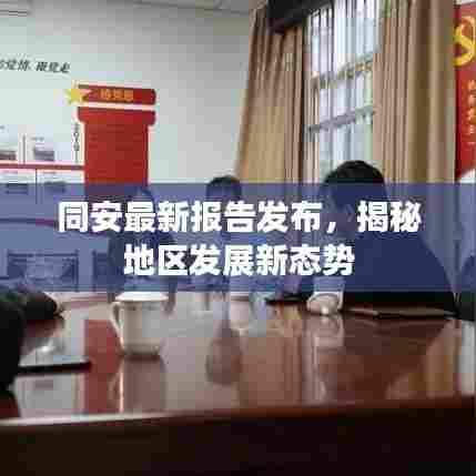 同安最新报告发布,揭秘地区发展新态势