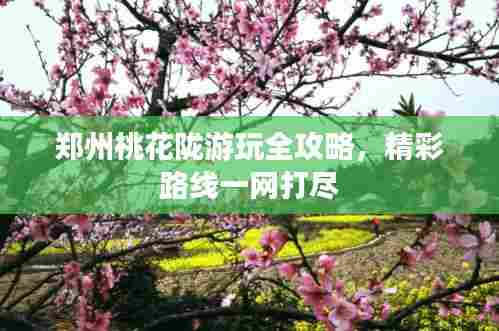 郑州桃花陇游玩全攻略，精彩路线一网打尽