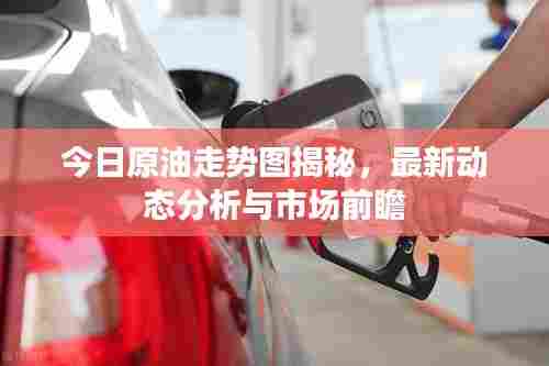 今日原油走势图揭秘，最新动态分析与市场前瞻