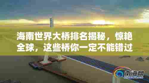 展翅高飞 第3页