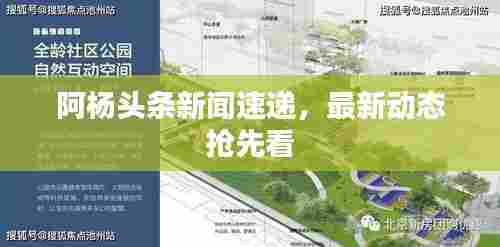 阿杨头条新闻速递，最新动态抢先看