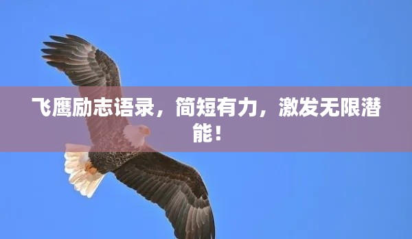 飞鹰励志语录,简短有力,激发无限潜能!