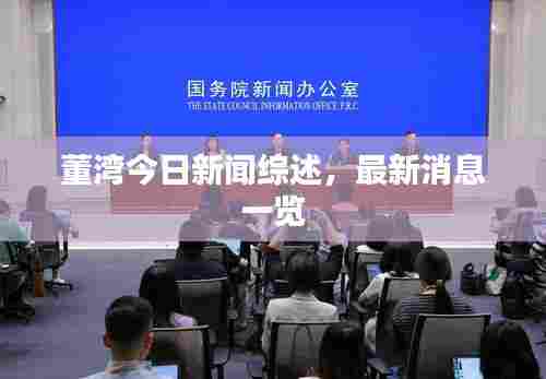 董湾今日新闻综述，最新消息一览