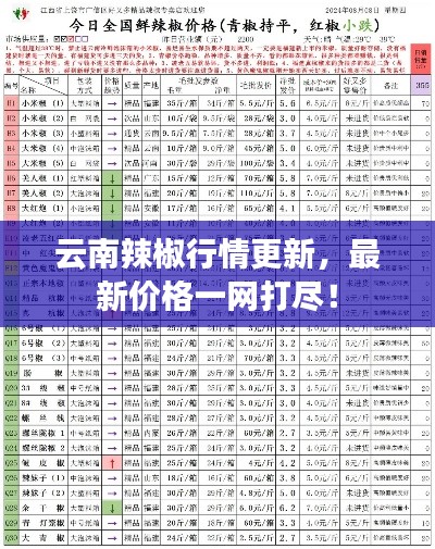 云南辣椒行情更新,最新价格一网打尽!